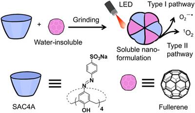 Deep Cavitand Calixarene–Solubilized Fullerene as a Potential Photodynamic Agent